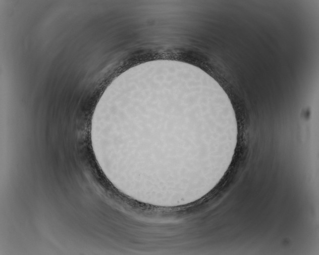 X0000115220032200912091231