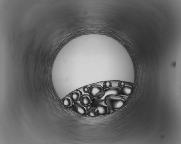 X0000115220033200912091231