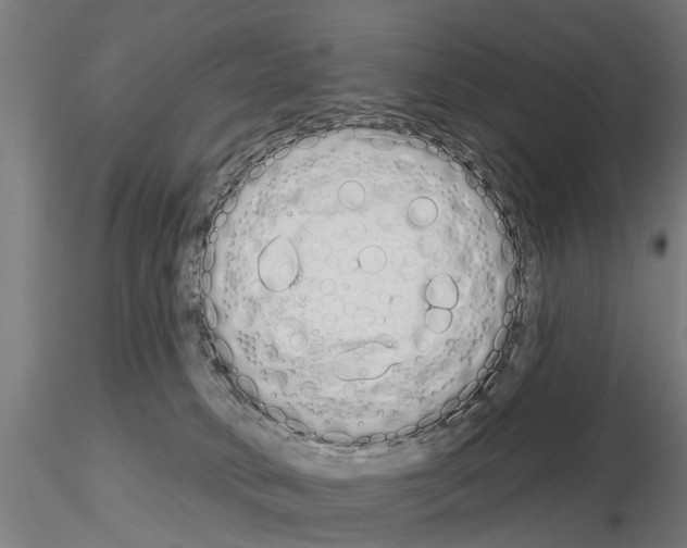 X0000115220034200912091231