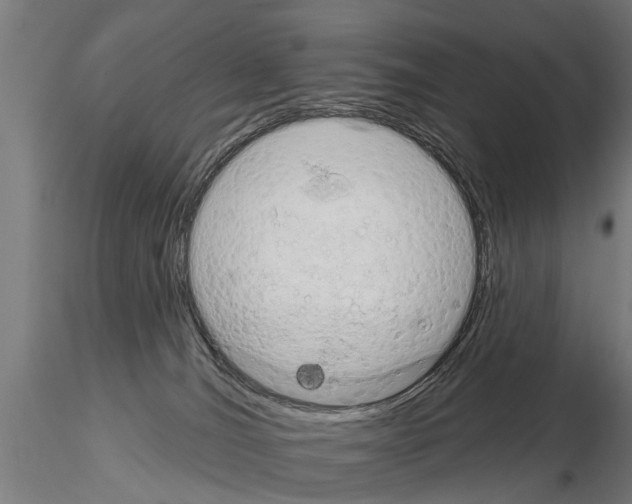 X0000115220036200912091231