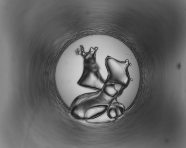 X0000115220037200912091231