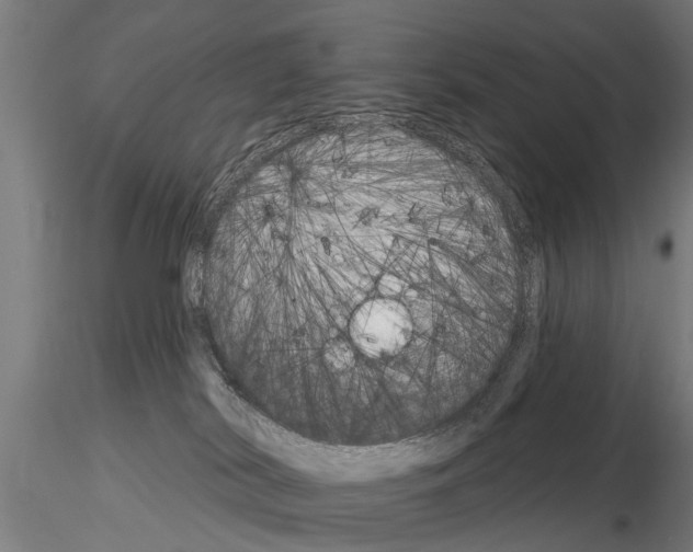 X0000115220038200912091231