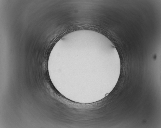 X0000115220039200912091231