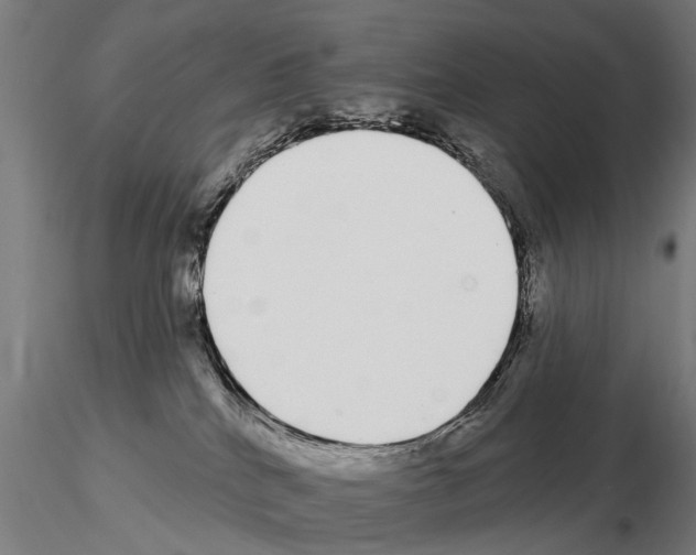 X0000115220040200912091231