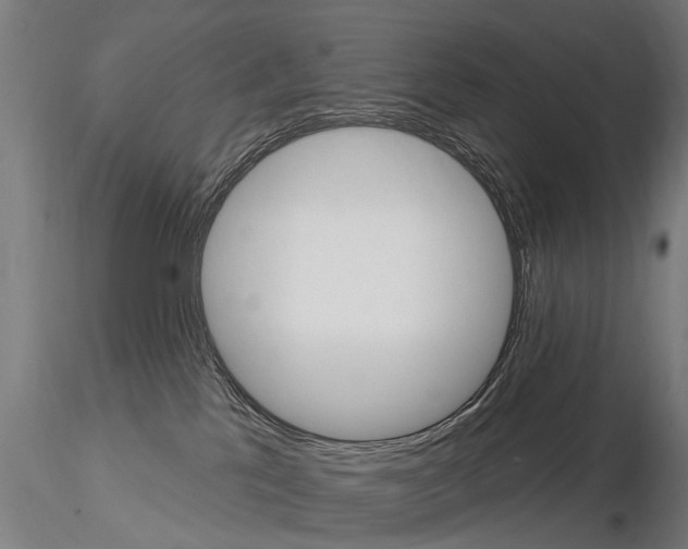 X0000115220041200912091231