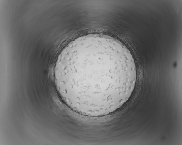 X0000115220042200912091231