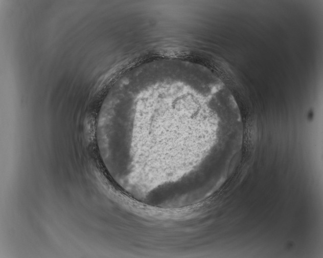 X0000115220043200912091231