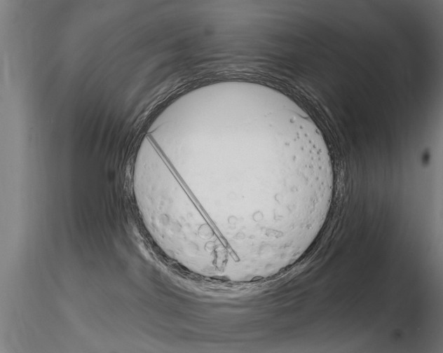 X0000115220044200912091231