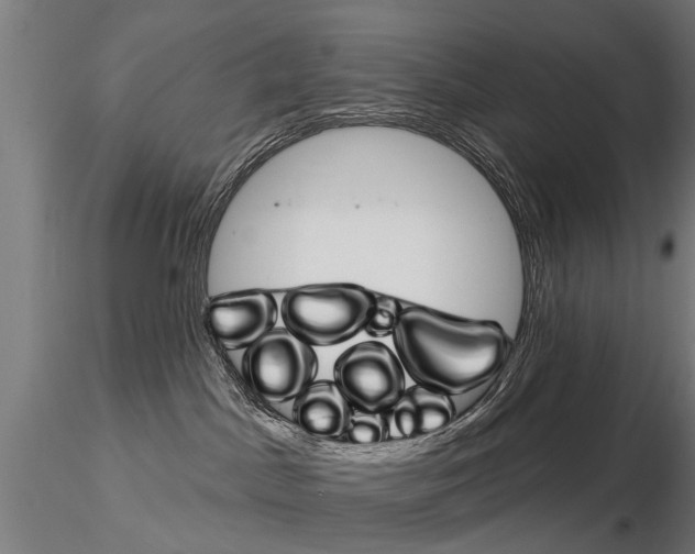 X0000115220045200912091231