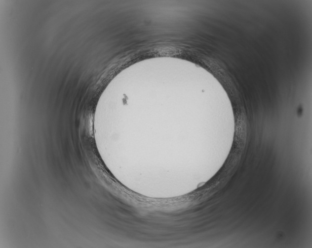 X0000115220046200912091231