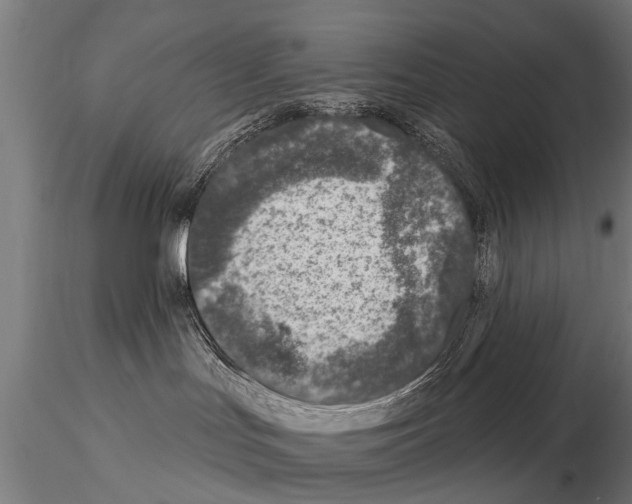 X0000115220047200912091231