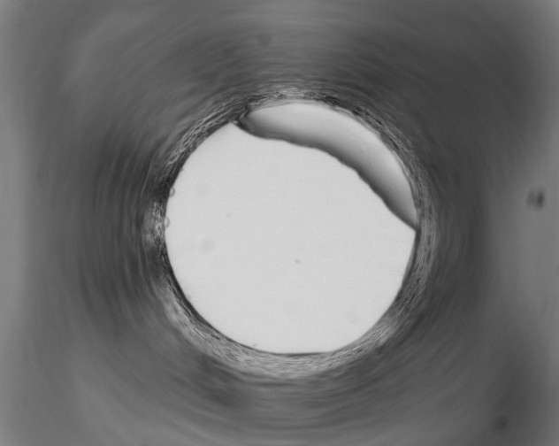 X0000115220048200912091231