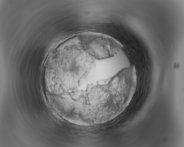 X0000115220049200912091230