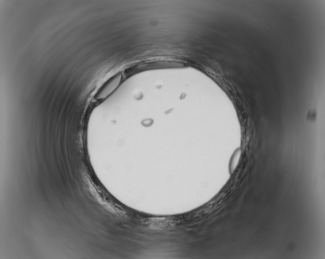 X0000115220050200912091230