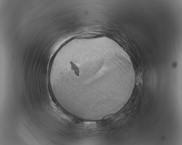 X0000115220052200912091230