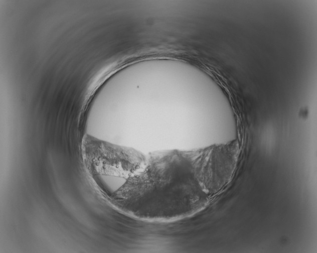 X0000115220053200912091230