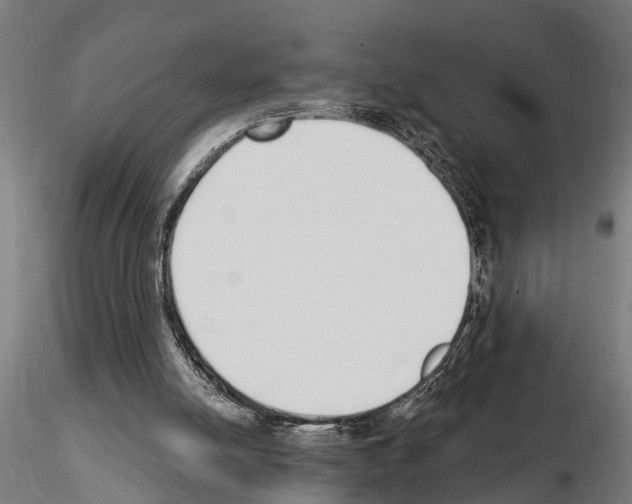 X0000115220054200912091230