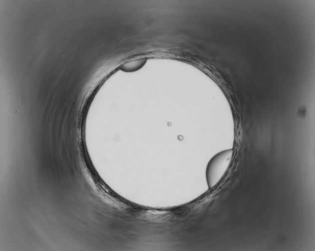 X0000115220055200912091230