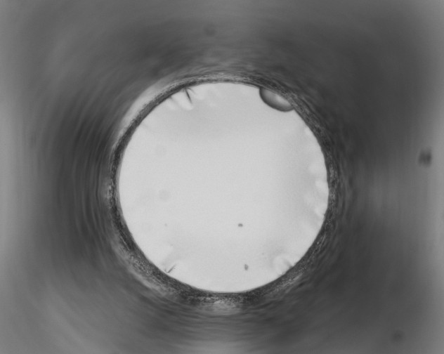 X0000115220056200912091230