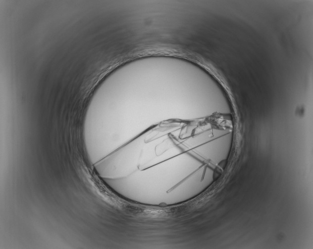 X0000115220057200912091230