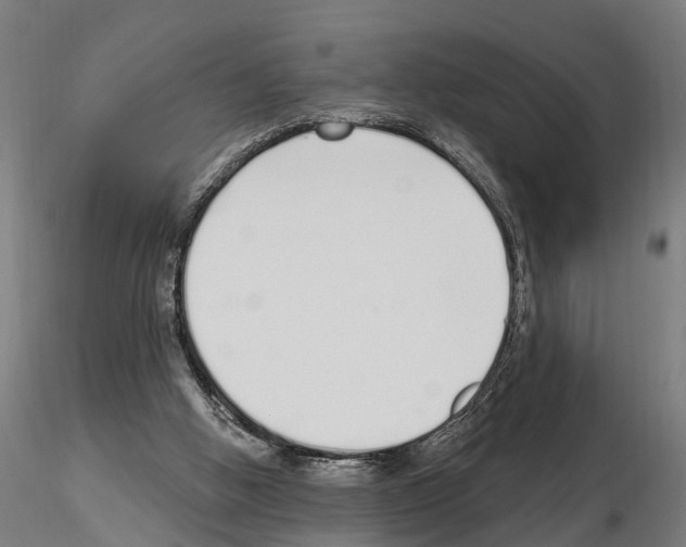 X0000115220058200912091231