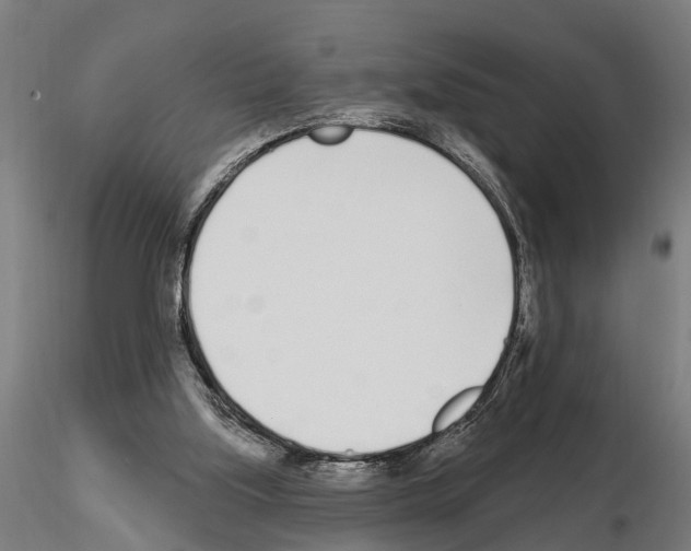 X0000115220059200912091231