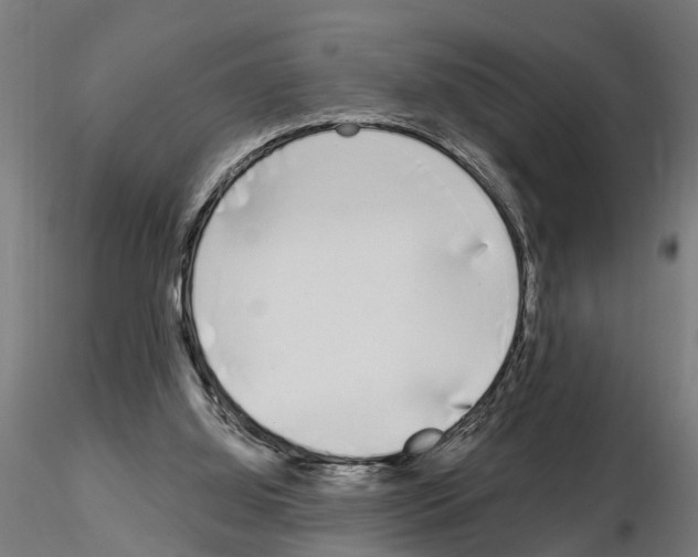 X0000115220060200912091231