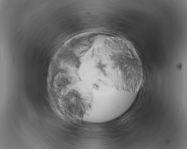 X0000115220061200912091231