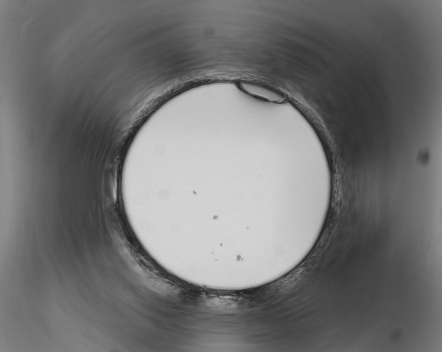 X0000115220062200912091231