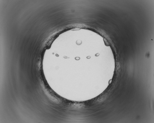 X0000115220063200912091231