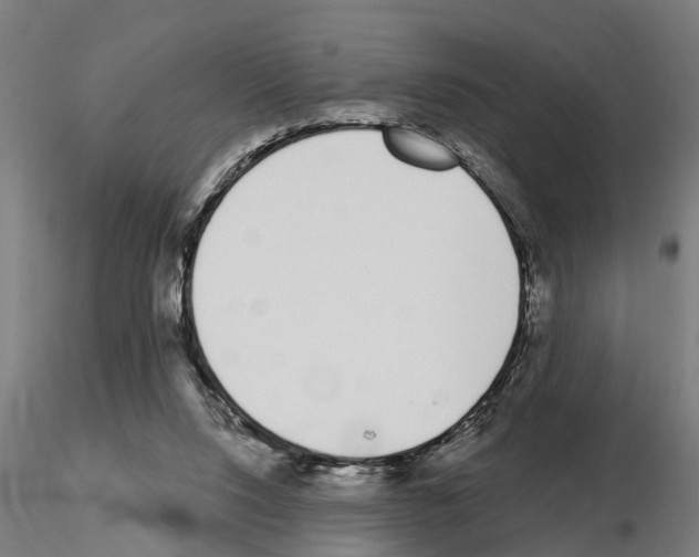 X0000115220064200912091231