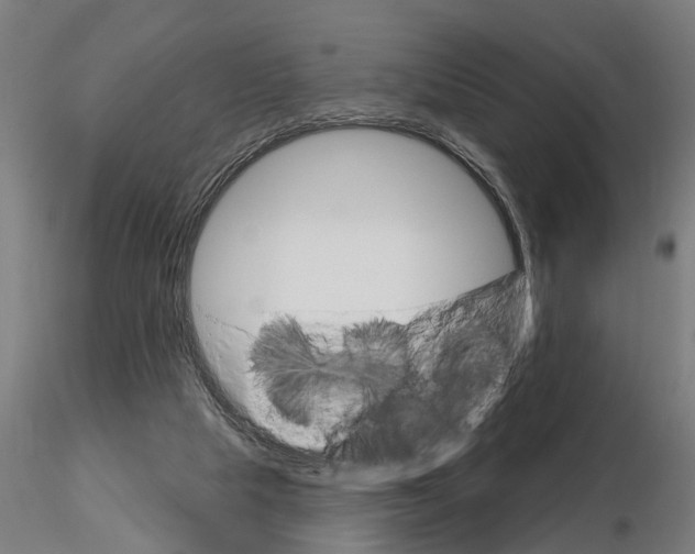 X0000115220065200912091231