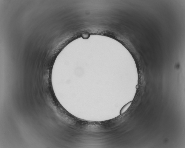 X0000115220066200912091231