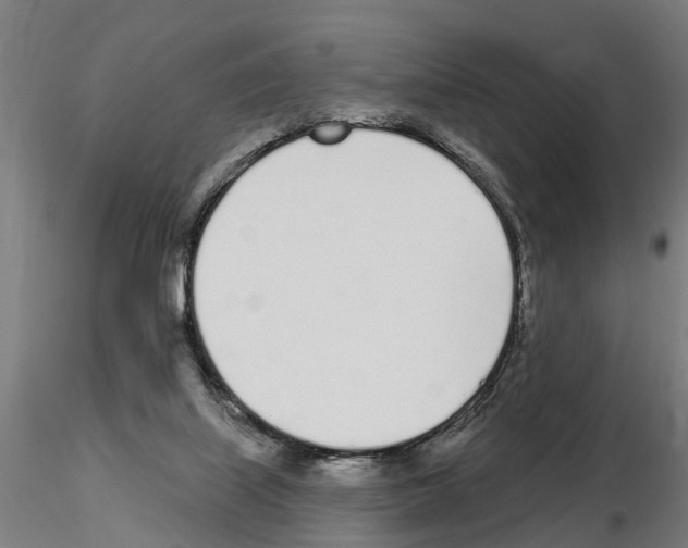 X0000115220067200912091231