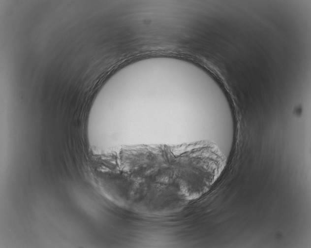 X0000115220069200912091231