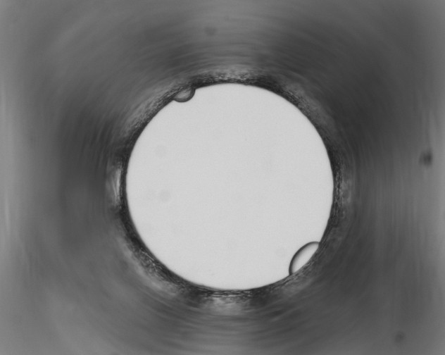 X0000115220070200912091231