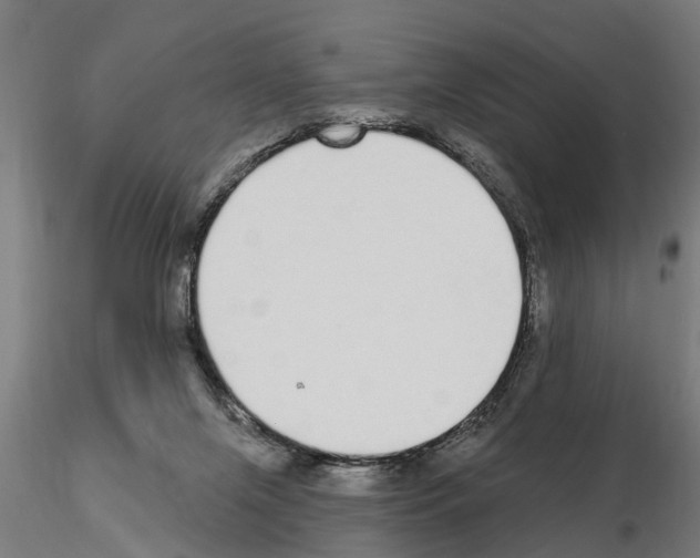 X0000115220071200912091231