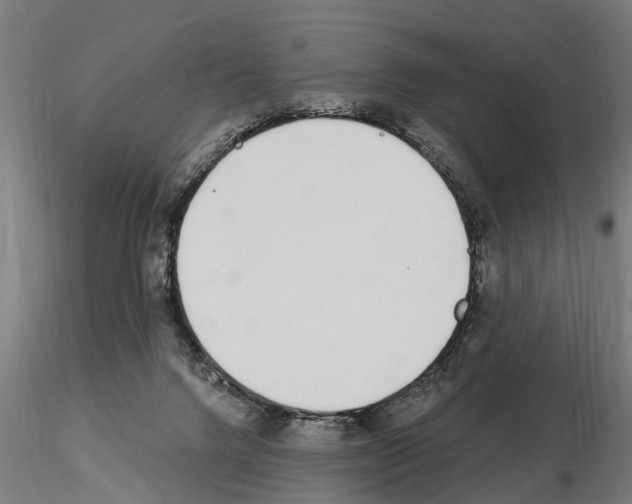 X0000115220072200912091231