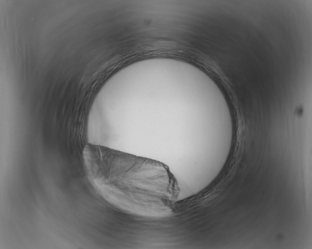 X0000115220073200912091231