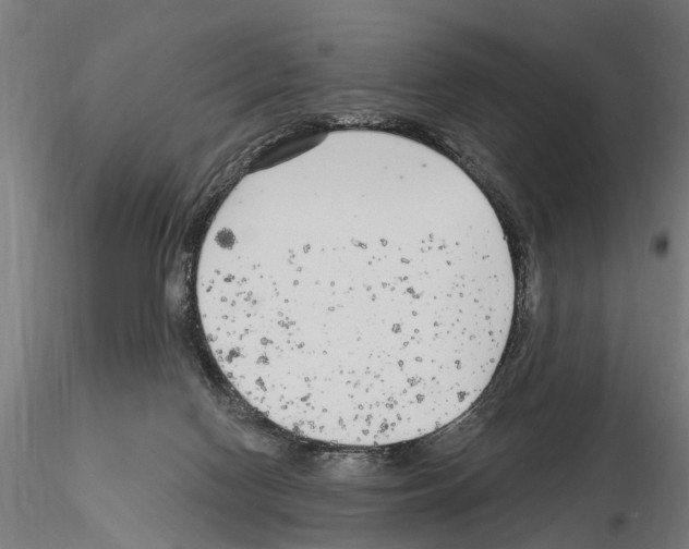 X0000115220074200912091231