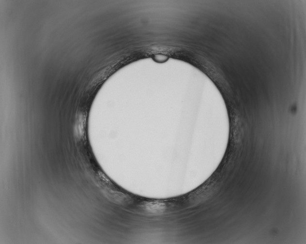 X0000115220075200912091231