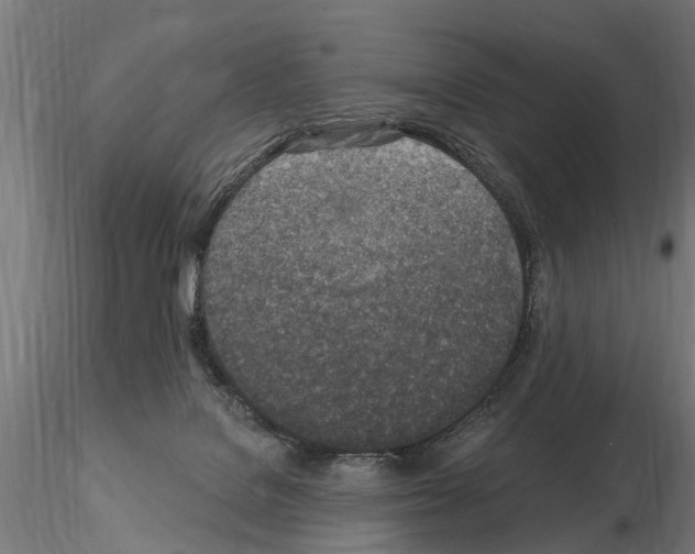 X0000115220076200912091231