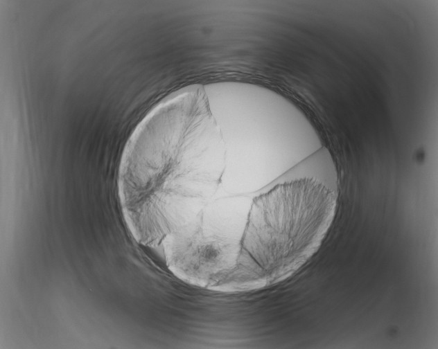 X0000115220077200912091231