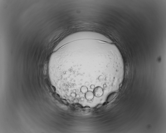 X0000115220078200912091231