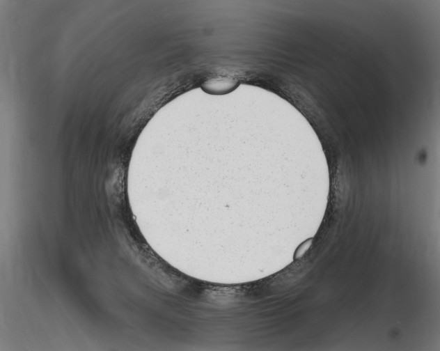 X0000115220079200912091231