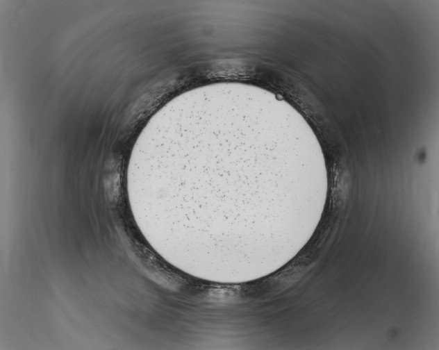 X0000115220080200912091231