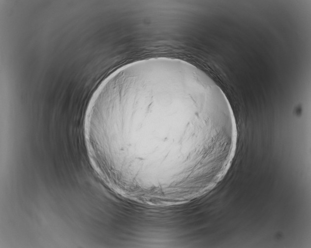 X0000115220081200912091231