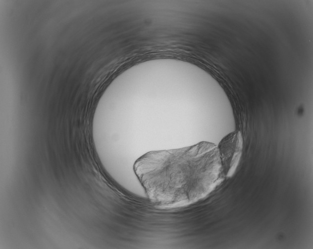 X0000115220085200912091231