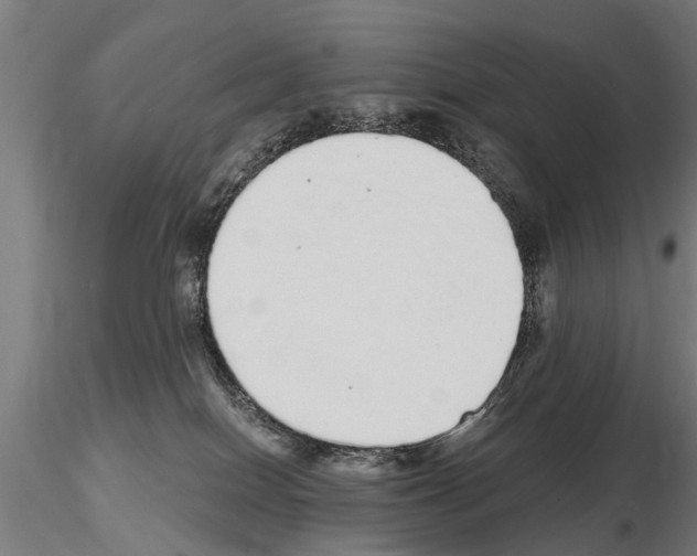 X0000115220086200912091231