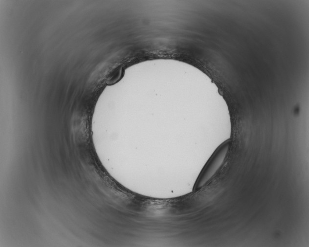 X0000115220088200912091231